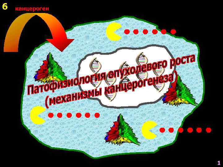 6  канцероген     1 