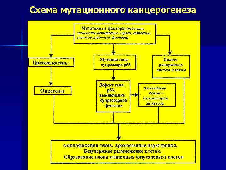 Схема мутационного канцерогенеза 