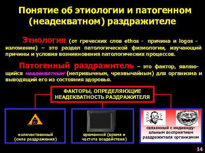   Понятие об этиологии и патогенном  (неадекватном) раздражителе  Этиология  (от
