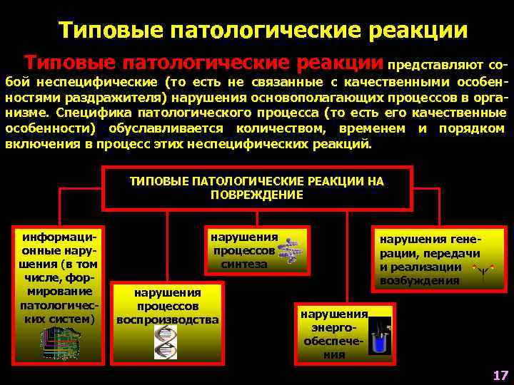 Какие есть патологические процессы. Типовые патологические реакции. Патологический процесс примеры. Типовые патологические процессы. Понятие о патологическом процессе.