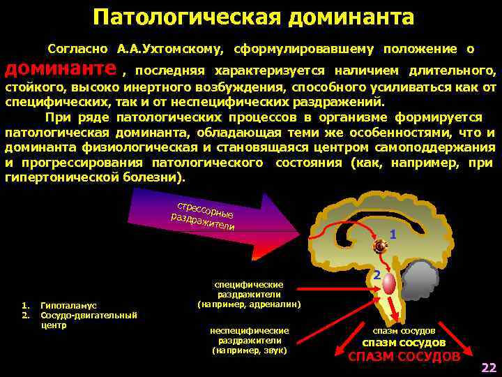 Схема механизмов формирования генератора патологически усиленного возбуждения