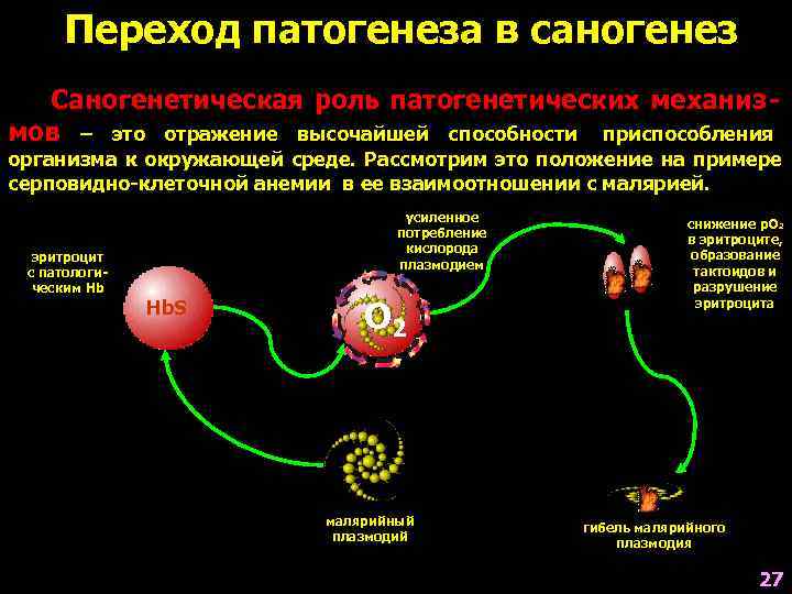  Переход патогенеза в саногенез  Саногенетическая роль патогенетических механиз- мов – это отражение