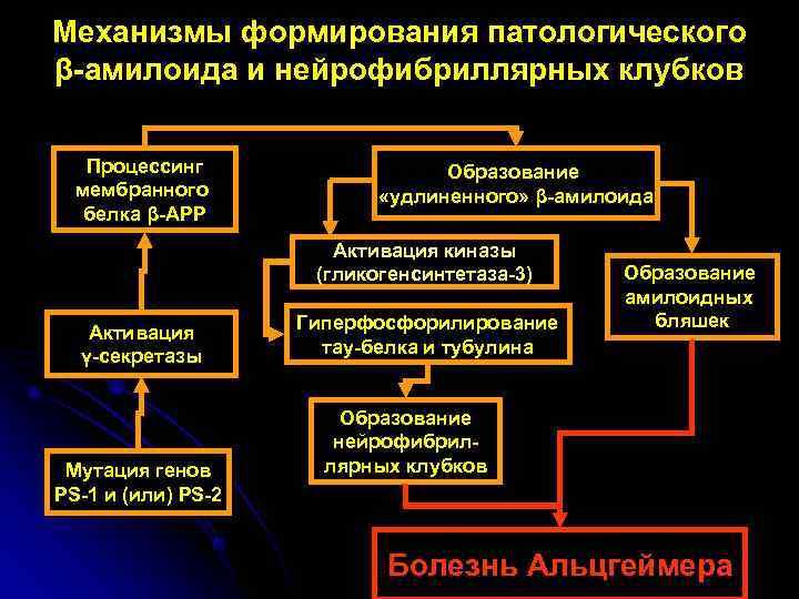 Механизмы формирования патологического β-амилоида и нейрофибриллярных клубков Процессинг    Образование  мембранного