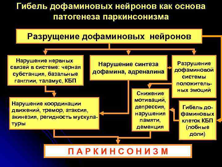  Гибель дофаминовых нейронов как основа  патогенеза паркинсонизма  Разрущение дофаминовых нейронов Нарушение
