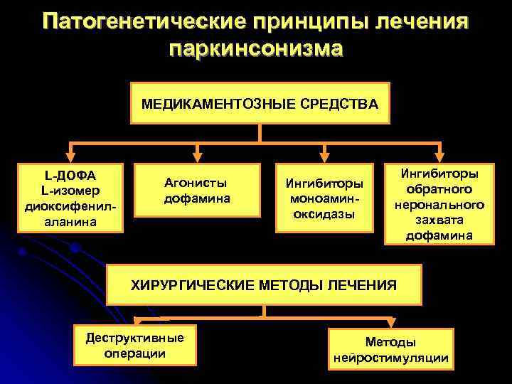  Патогенетические принципы лечения   паркинсонизма   МЕДИКАМЕНТОЗНЫЕ СРЕДСТВА  L-ДОФА 