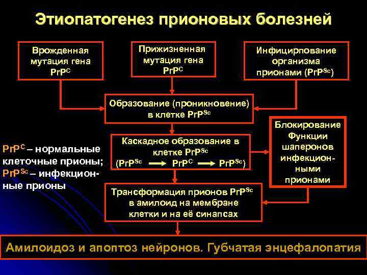  Этиопатогенез прионовых болезней Врожденная    Прижизненная     