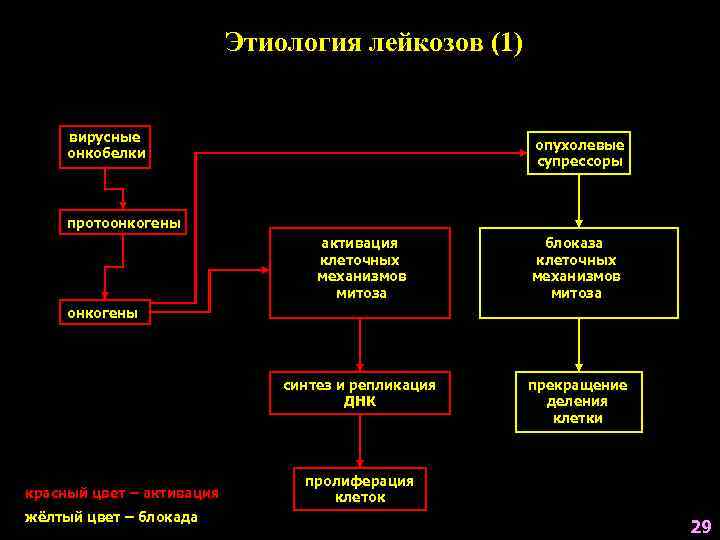       Этиология лейкозов (1)  вирусные   