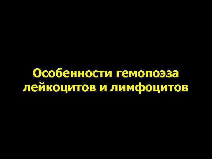  Особенности гемопоэза лейкоцитов и лимфоцитов 