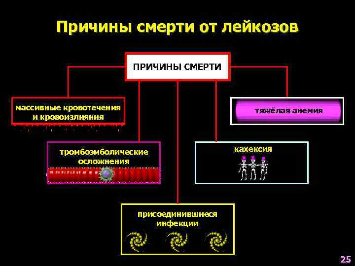   Причины смерти от лейкозов      ПРИЧИНЫ СМЕРТИ 
