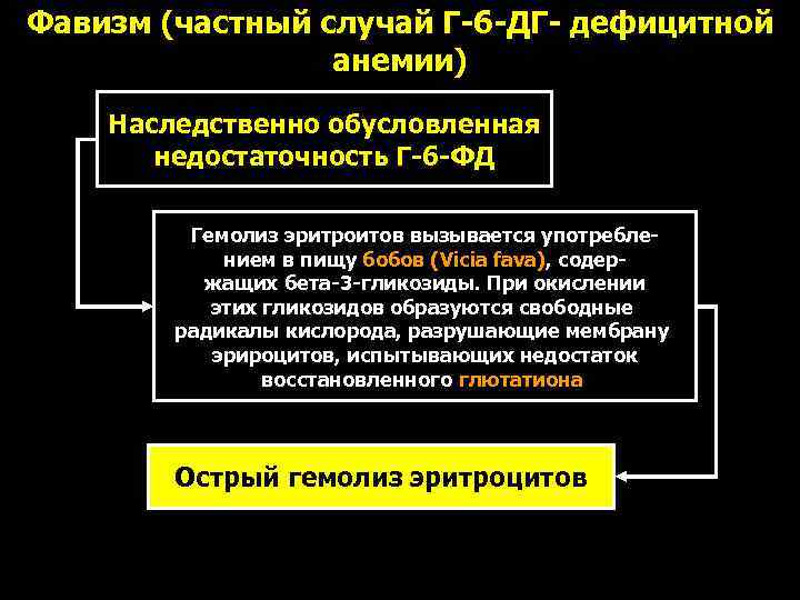 Фавизм (частный случай Г-6 -ДГ- дефицитной   анемии) Наследственно обусловленная  недостаточность Г-6