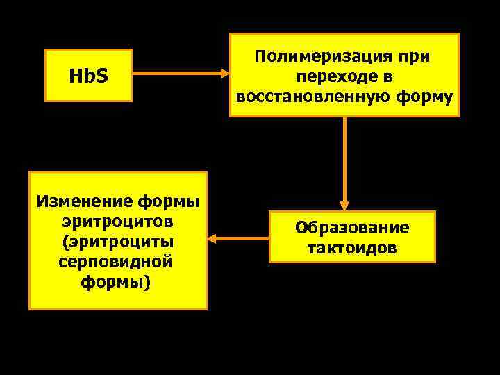     Полимеризация при  Hb. S    переходе в