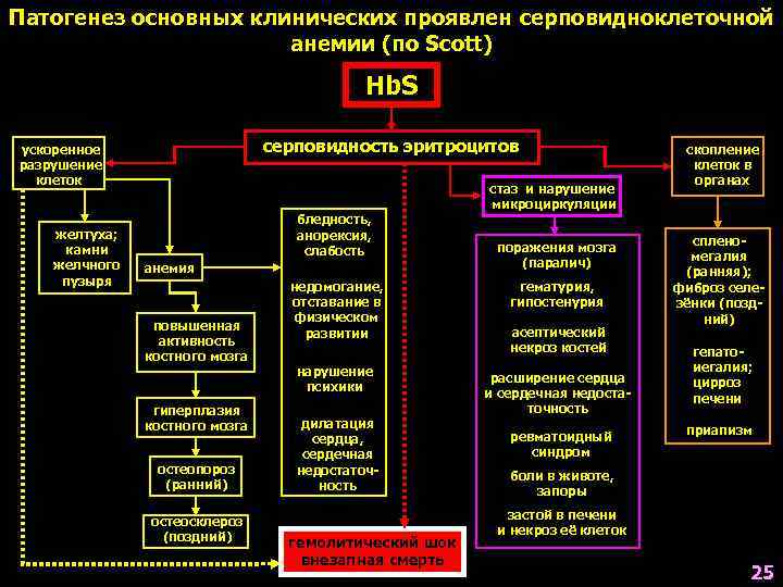 Патогенез основных. Механизм развития серповидно-клеточной анеми. Серповидноклеточная анемия механизм развития. Серповидно клеточная аннмия патогенез. Серповидноклеточная анемия патогенез.