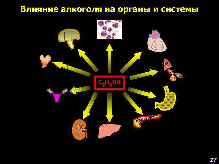 Влияние алкоголя на органы и системы    С 2 Н 5 ОН