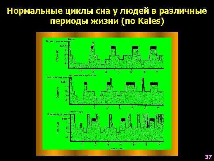 Нормальные циклы сна у людей в различные   периоды жизни (по Kales) 