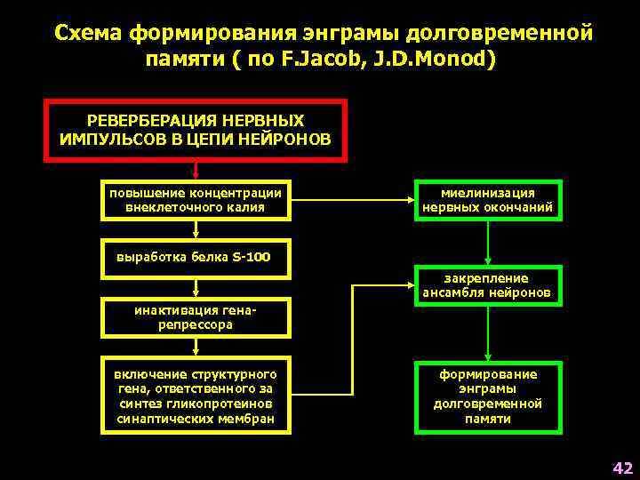 Схема формирования энграмы долговременной  памяти ( по F. Jacob, J. D. Monod) 