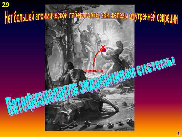 29   адреналин     1 