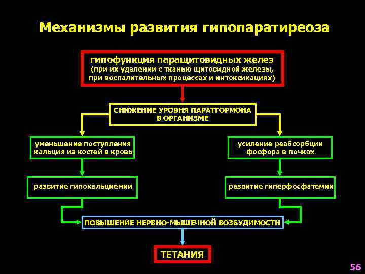 Гипофункция паращитовидной железы. Гипопаратиреоз этиология схема. Гипопаратиреоидизм патогенез. Патогенез механизм развития гипопаратиреоза. Гипопаратиреоз патогенез патофизиология.