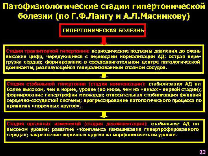 Патофизиологические стадии гипертонической болезни (по Г. Ф. Лангу и А. Л. Мясникову)  