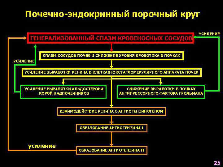   Почечно-эндокринный порочный круг       УСИЛЕНИЕ  ГЕНЕРАЛИЗОВАННЫЙ