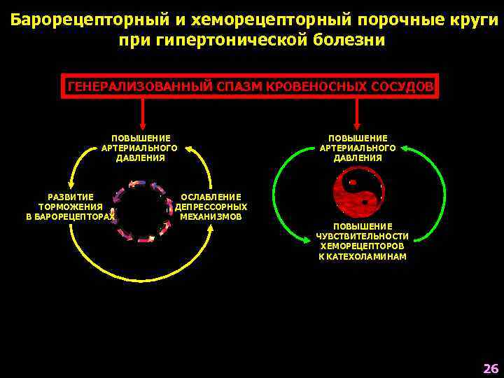 Барорецепторный и хеморецепторный порочные круги   при гипертонической болезни   ГЕНЕРАЛИЗОВАННЫЙ СПАЗМ