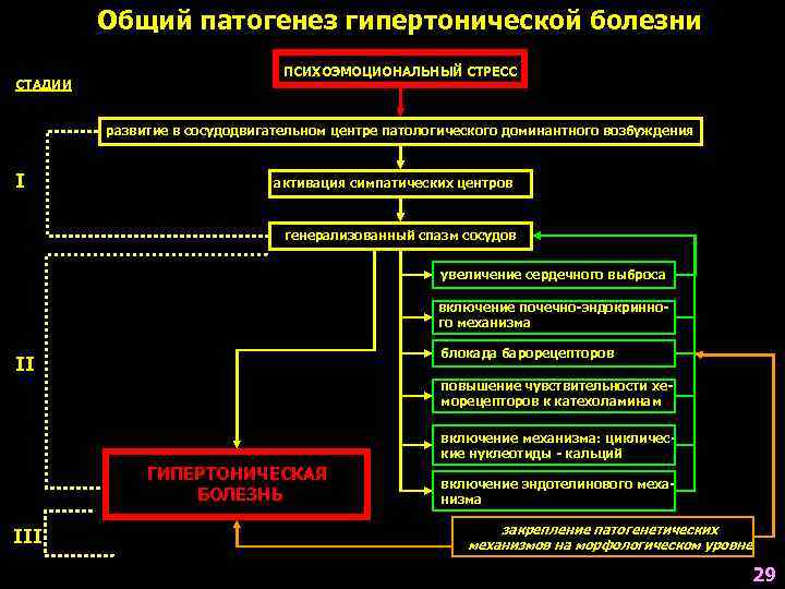 Патогенез гипертонической болезни