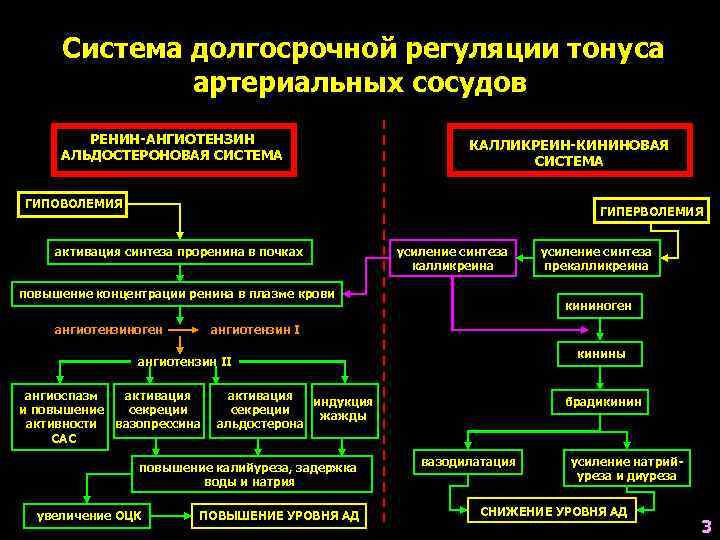 Патофизиология сосудистого тонуса презентация