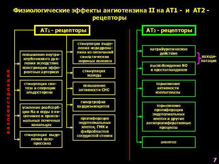       Физиологические эффекты ангиотензина II на АТ 1 -