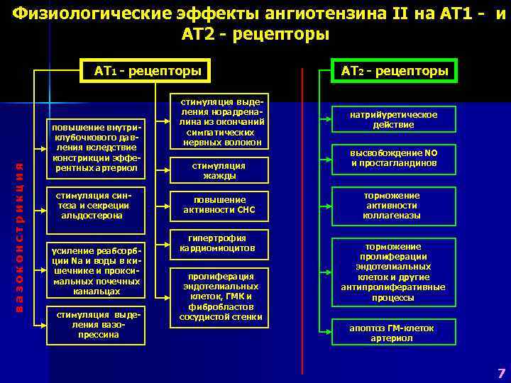   Физиологические эффекты ангиотензина II на АТ 1 - и   