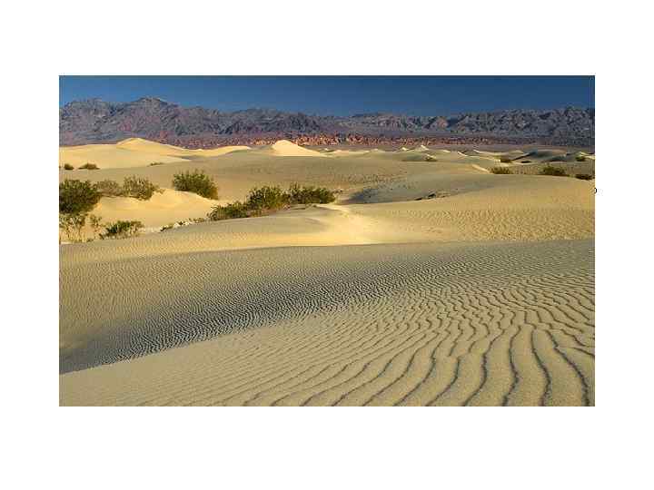 На наветренных склонах аккумулятивных эоловых форм почти везде можно видеть знаки ряби- низкие На наветренных склонах аккумулятивных эоловых форм почти везде можно видеть знаки ряби- низкие