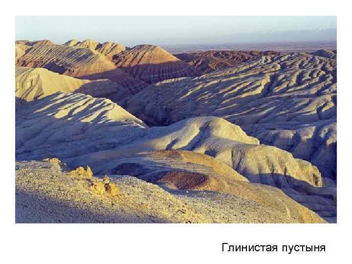 Глинистая пустыня Глинистая пустыня