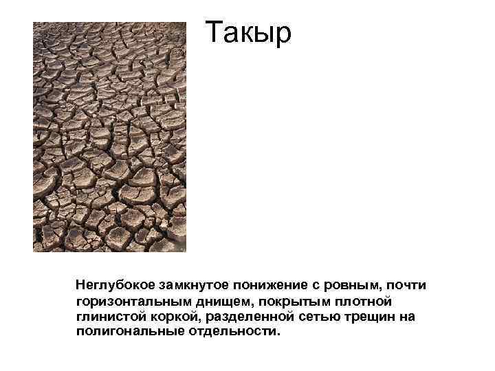 Такыр Неглубокое замкнутое понижение с ровным, почти горизонтальным днищем, покрытым Такыр Неглубокое замкнутое понижение с ровным, почти горизонтальным днищем, покрытым