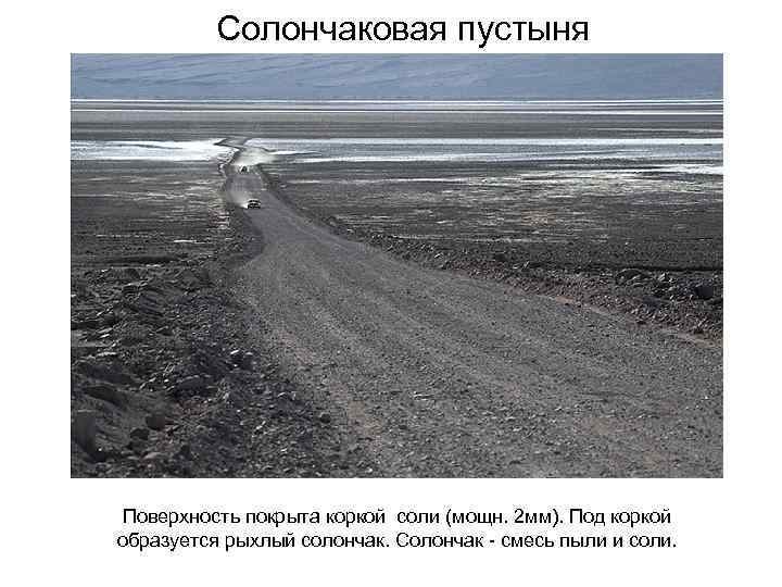 Солончаковая пустыня Поверхность покрыта коркой соли (мощн. 2 мм). Под коркой Солончаковая пустыня Поверхность покрыта коркой соли (мощн. 2 мм). Под коркой
