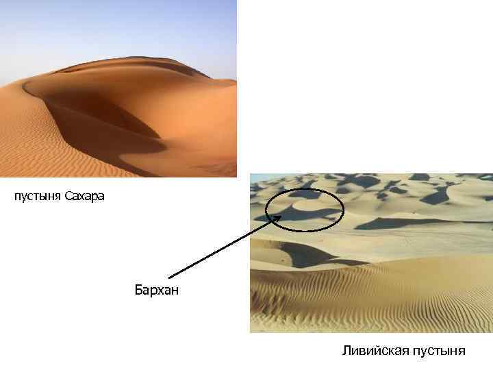 пустыня Сахара Бархан Ливийская пустыня пустыня Сахара Бархан Ливийская пустыня