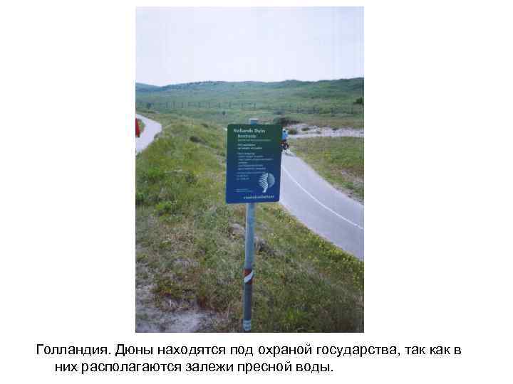 Голландия. Дюны находятся под охраной государства, так как в них располагаются залежи пресной Голландия. Дюны находятся под охраной государства, так как в них располагаются залежи пресной