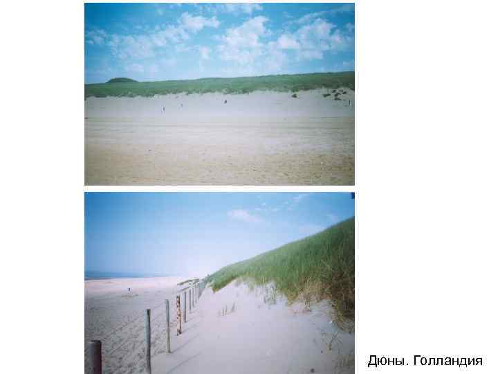 Дюны. Голландия Дюны. Голландия