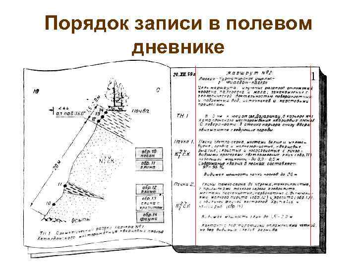 Порядок записи в полевом   дневнике    1 