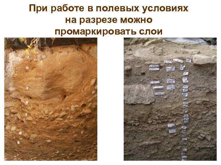 При работе в полевых условиях  на разрезе можно промаркировать слои 
