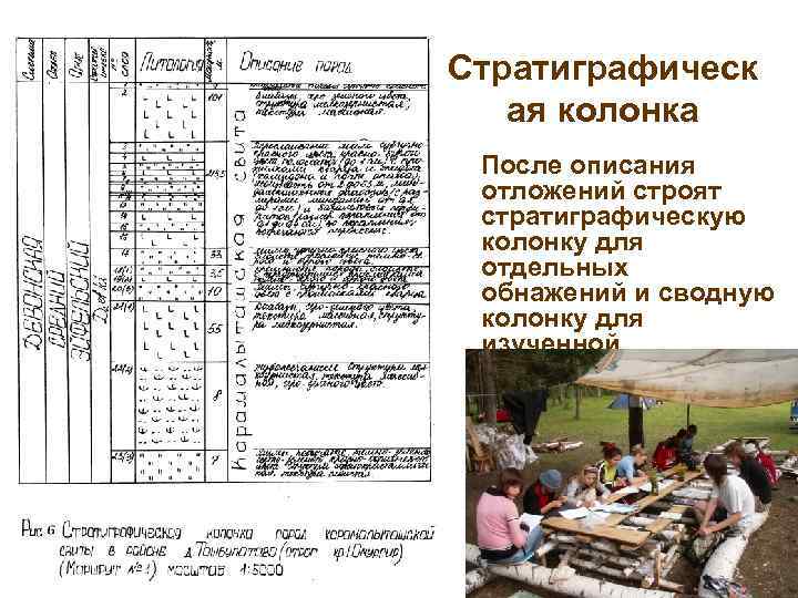 Стратиграфическ  ая колонка После описания отложений строят стратиграфическую колонку для отдельных обнажений и