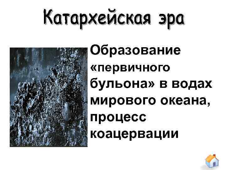 Образование «первичного бульона» в водах мирового океана, процесс коацервации 