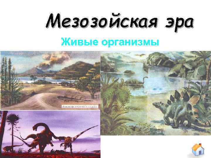 Живые организмы 