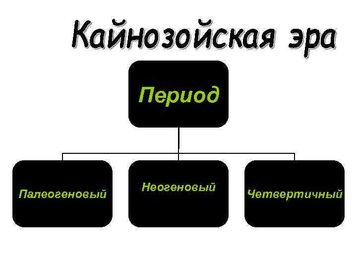 Кайнозойская эра периоды схема