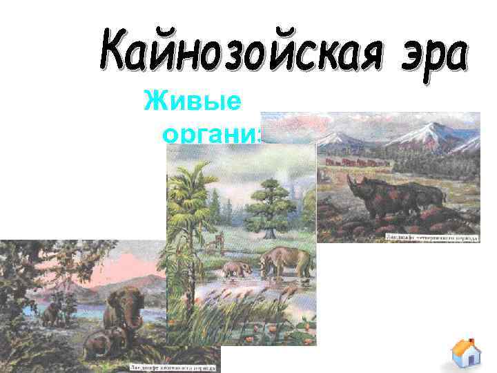 Живые организмы. 