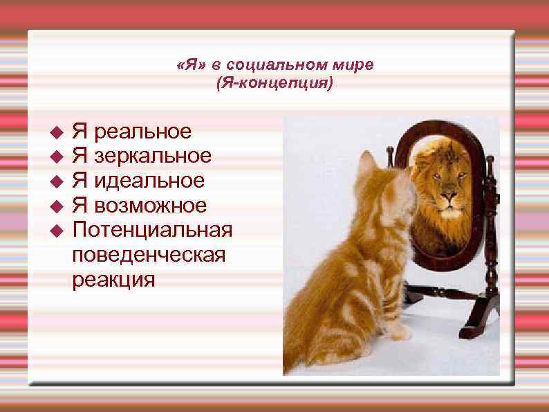    «Я» в социальном мире   (Я-концепция)  Я реальное Я