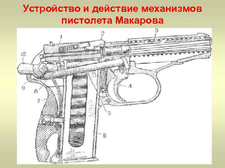 Устройство и действие механизмов  пистолета Макарова 