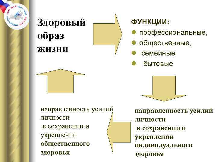 Здоровый    ФУНКЦИИ:     l профессиональные, образ  