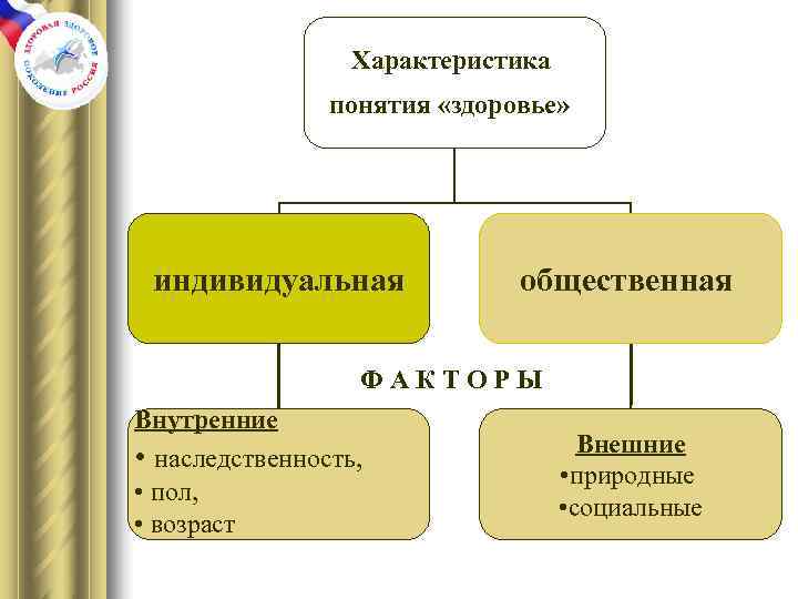    Характеристика   понятия «здоровье»  индивидуальная    общественная