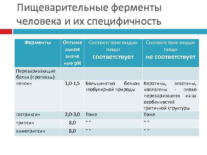 Пищеварительные ферменты человека и их специфичность  Ферменты  Оптима Соответствие видам  