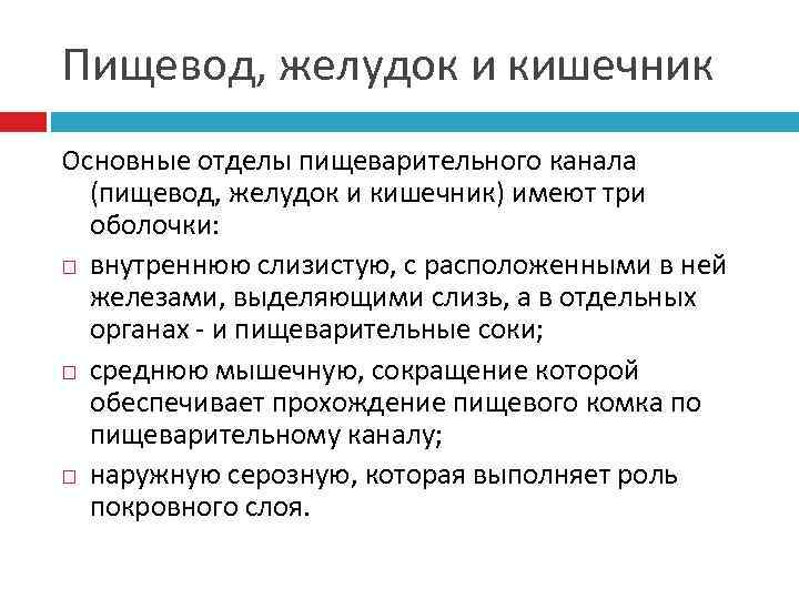 Пищевод, желудок и кишечник Основные отделы пищеварительного канала  (пищевод, желудок и кишечник) имеют