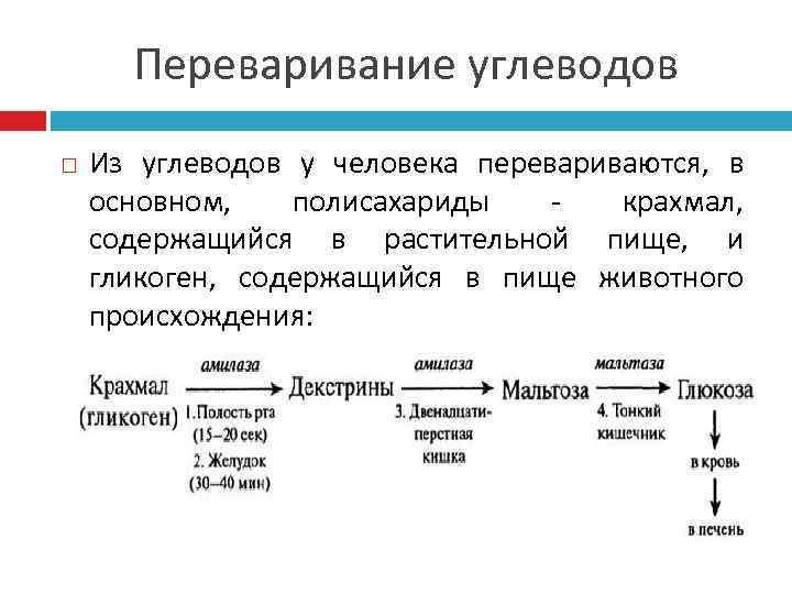  Переваривание углеводов Из углеводов у человека перевариваются, в основном, полисахариды  - 