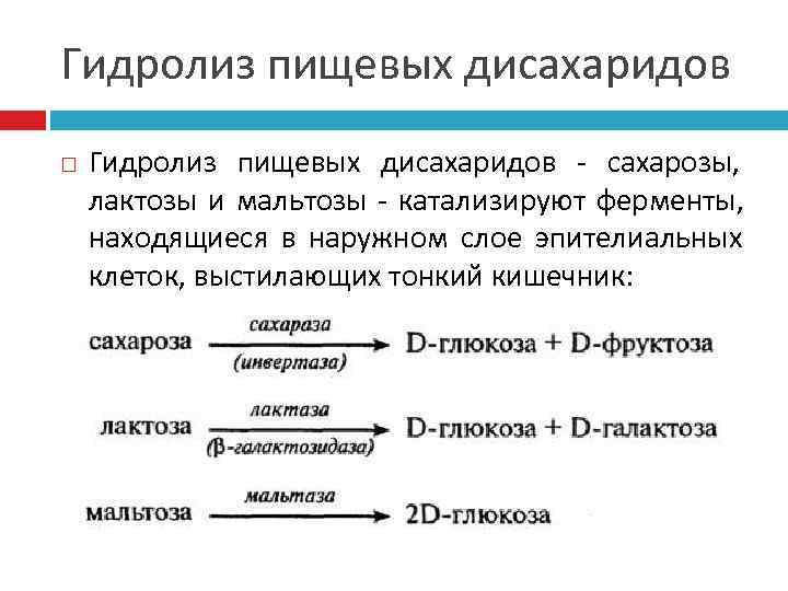 Гидролиз пищевых дисахаридов - сахарозы, лактозы и мальтозы - катализируют ферменты, находящиеся в наружном